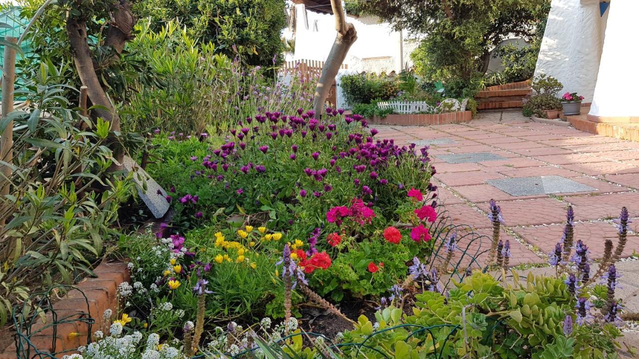 Villa Manuela Sul Mare 사르치투 쿠글리에리 외부 사진